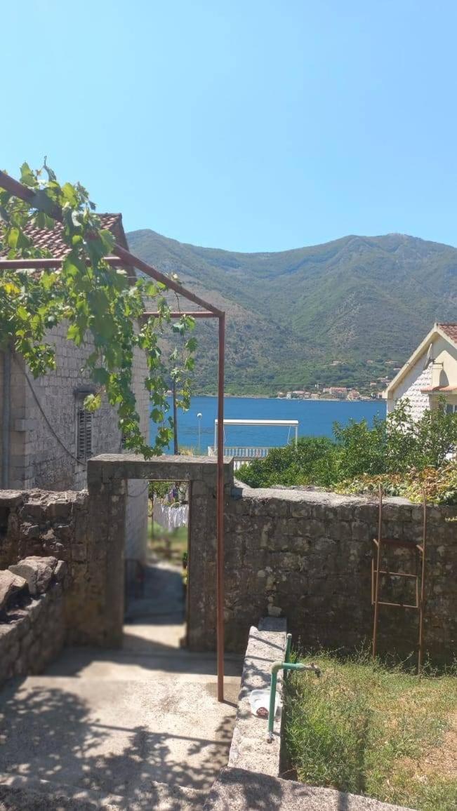 Apartments Vukasovic Kotor Exteriér fotografie