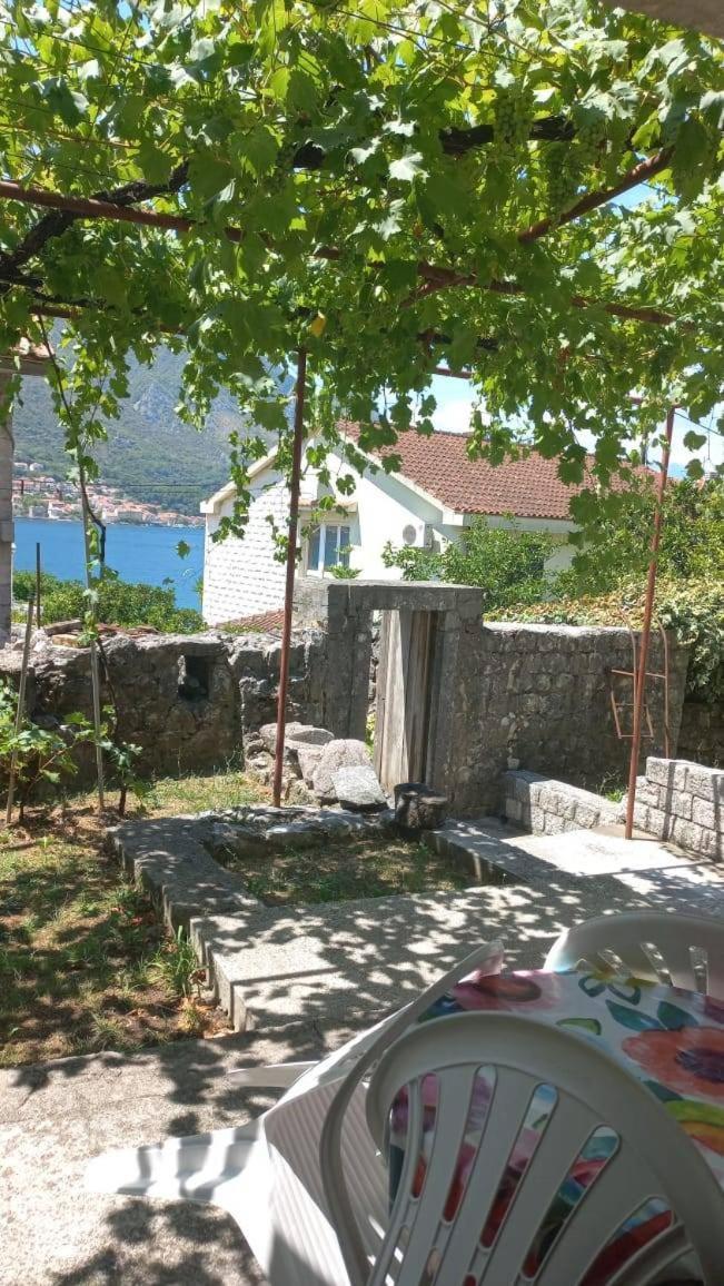 Apartments Vukasovic Kotor Exteriér fotografie